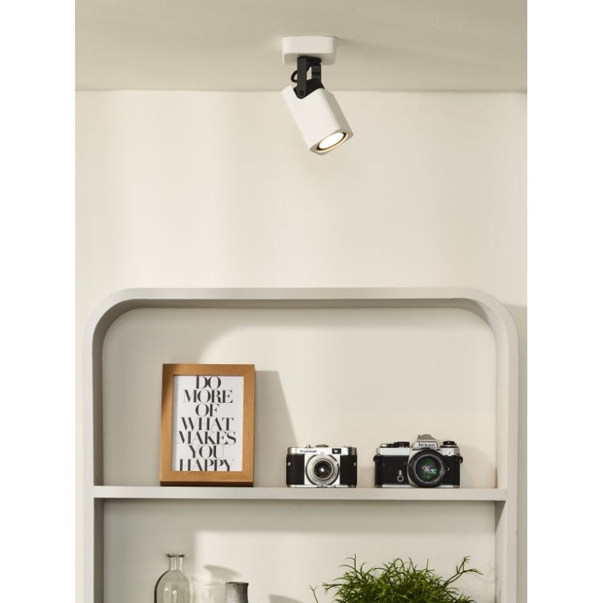 Lucide 33961/05/31 - LED Stmievateľné bodové svietidlo ROAX 1xGU10/5W/230V biele