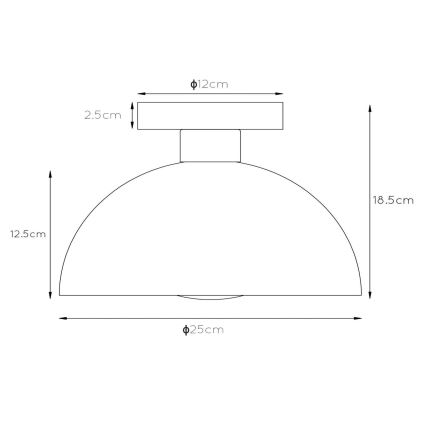Lucide 45196/01/30 - Stropné svietidlo SIEMON 1xE27/40W/230V čierna