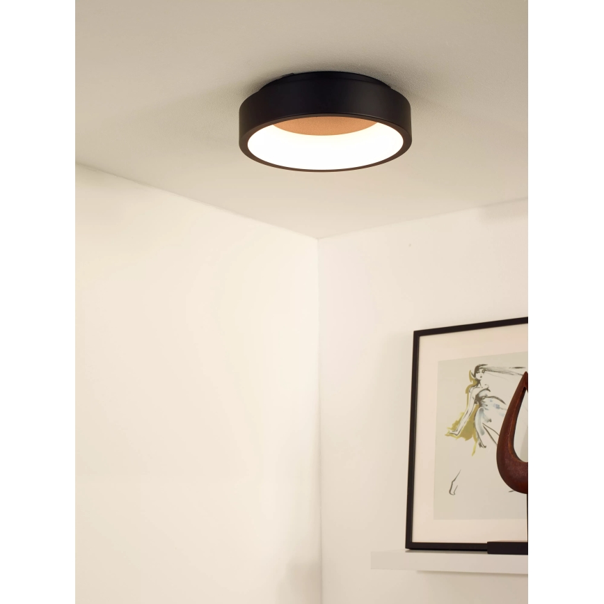 Lucide 46100/20/30 - LED Stmievateľné stropné svietidlo TALOWE LED/20W/230V čierna