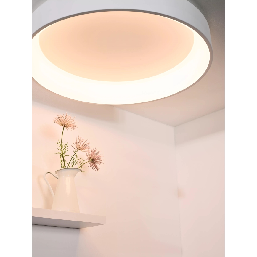 Lucide 46100/80/31 - LED Stmievateľné stropné svietidlo TALOWE LED/80W/230V Ø 80 cm