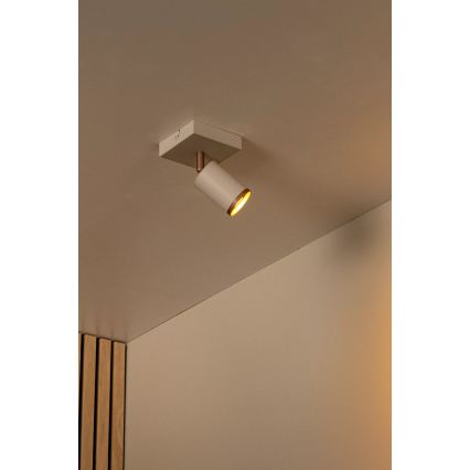 Lucide 53914/01/41 - Bodové svietidlo REGINA 1xGU10/50W/230V béžové