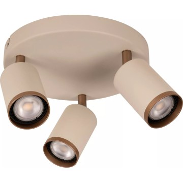 Lucide 53914/13/41 - Bodové svietidlo REGINA 3xGU10/50W/230V béžové
