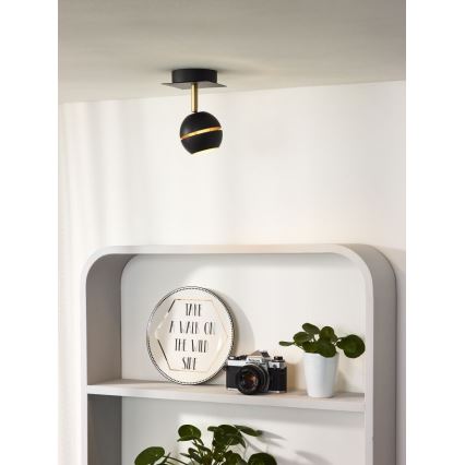 Svietidlo svieti. Je pripevnené k stropu. Nachádza sa nad poličkou s dekoratívnym tanierom s nápisom „TAKE A WALK ON THE WILD SIDE“, fotoaparátom a kvetináčom.