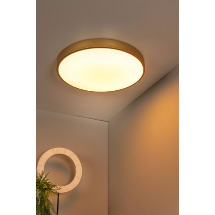 Lucide 79185/50/02 - LED Stmievateľné stropné svietidlo UNAR LED/36W/230V pr. 49,5 cm zlatá