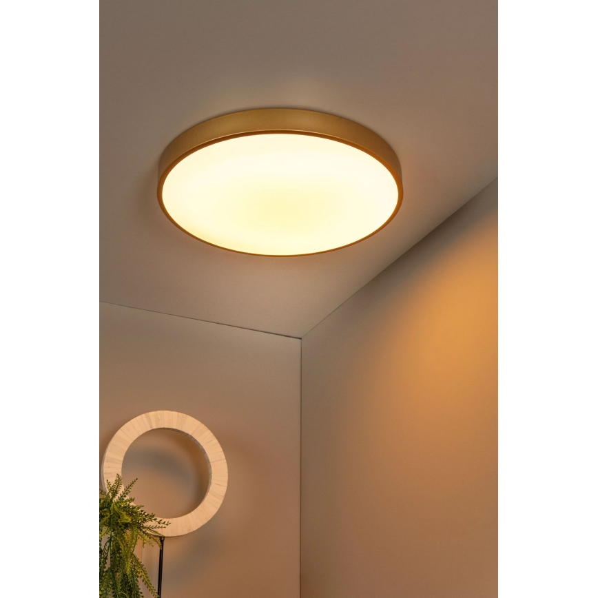 Lucide 79185/50/02 - LED Stmievateľné stropné svietidlo UNAR LED/36W/230V pr. 49,5 cm zlatá