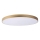 Lucide 79185/80/02 - LED Stmievateľné stropné svietidlo UNAR LED/80W/230V pr. 80 cm zlatá