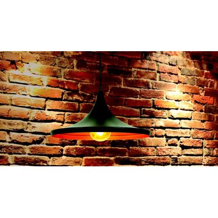 Luster MODERN 1A 1xE27/20W/230V