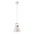 Luster na lane DANIELLE 1xE27/60W/230V buk
