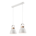 Luster na lane DANIELLE 2xE27/60W/230V buk