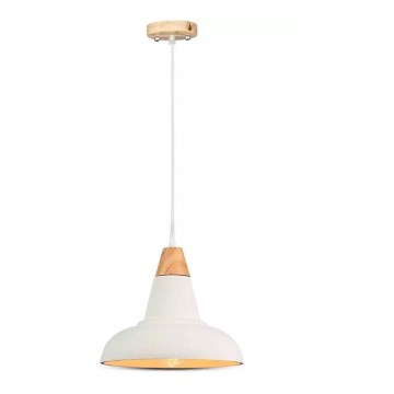 Luster na lanku 1xE27/60W/230V