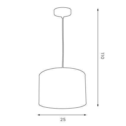 Luster na lanku ARDEN 1xE27/60W/230V pr. 25 cm čierna/biela