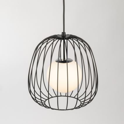 Luster na lanku BELL 1xG9/12W/230V pr. 24 cm čierna/lesklý chróm