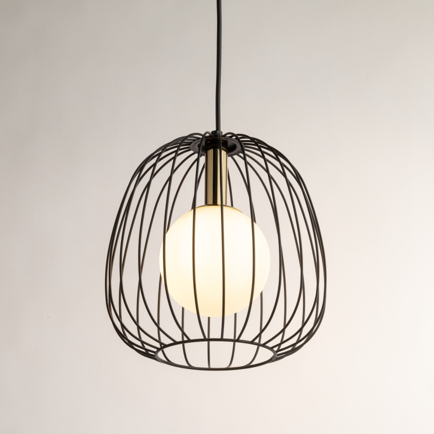 Luster na lanku BELL 1xG9/12W/230V pr. 24 cm čierna/zlatá
