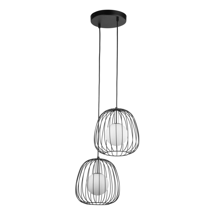 Luster na lanku BELL 2xG9/12W/230V čierna/lesklý chróm