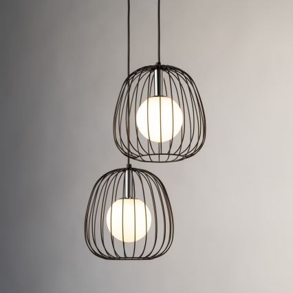 Luster na lanku BELL 2xG9/12W/230V čierna/lesklý chróm