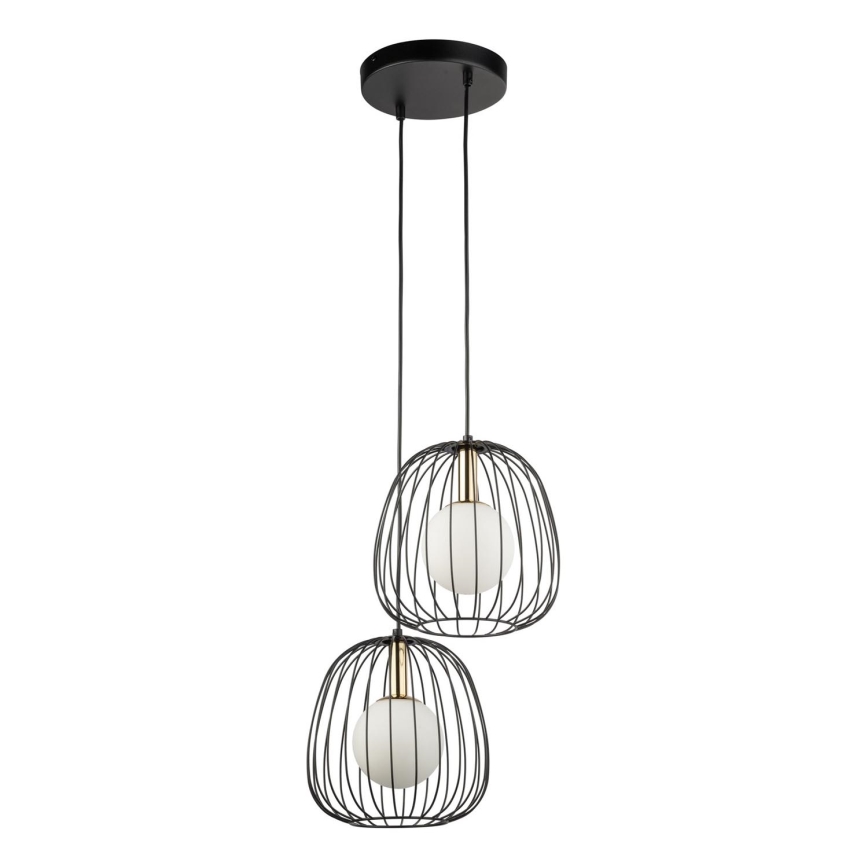 Luster na lanku BELL 2xG9/12W/230V čierna/zlatá