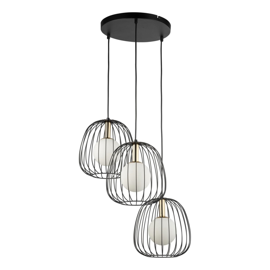 Luster na lanku BELL 3xG9/12W/230V čierna/zlatá