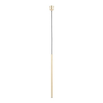 Luster na lanku COLLET 1xG9/40W/230V zlatá