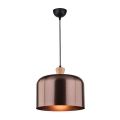 Luster na lanku DICTORIA 1xE27/40W/230V