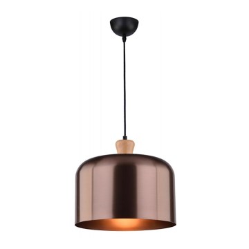 Luster na lanku DICTORIA 1xE27/40W/230V