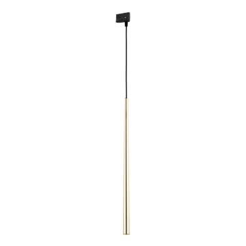 Luster na lanku do 3-fázového lištového systému PIANO 1xG9/8W/230V zlatá/čierna