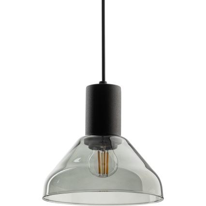 Luster na lanku do 1-fázového lištového systému NEO 1xE27/15W/230V čierna/dymová čierna