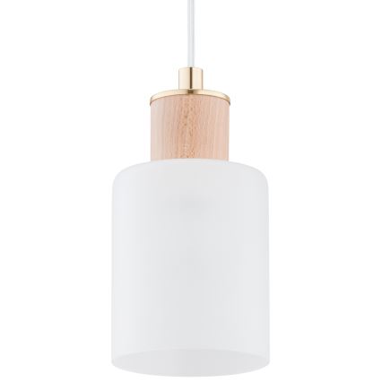 Luster na lanku EVIC 3xE27/60W/230V