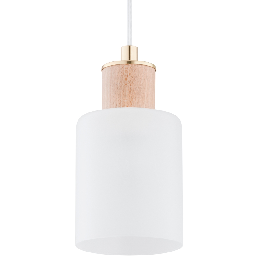 Luster na lanku EVIC 3xE27/60W/230V