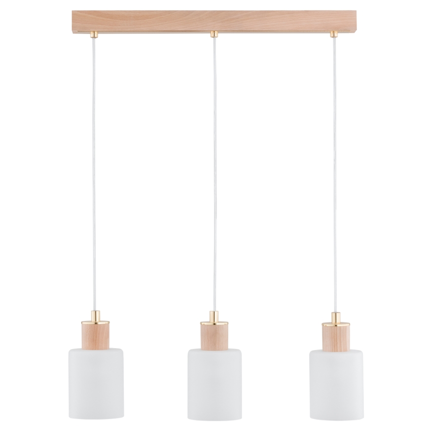 Luster na lanku EVIC 3xE27/60W/230V