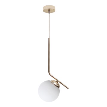 Luster na lanku FIRA 1xE27/60W/230V zlatá