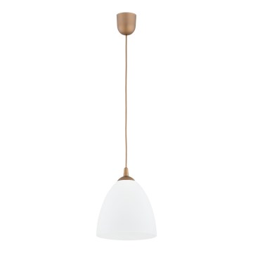 Luster na lanku LERA 1xE27/15W/230V zlatá