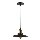 Luster na lanku LOFT 1xE27/60W/230V pr. 22 cm čierna