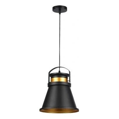 Luster na lanku TAO 1xE27/60W/230V pr. 25 cm čierna