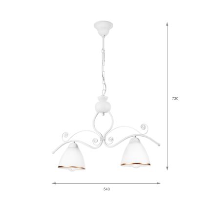 Luster na reťazi RETRO 2xE27/60W/230V matná biela