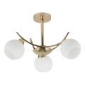 Luster na tyči AMOS 3xE27/40W/230V zlatá