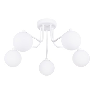 Luster na tyči ASTRAL 5xG9/8W/230V biela