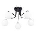 Luster na tyči ASTRAL 5xG9/8W/230V čierna
