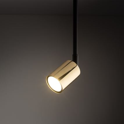 Luster na tyči do 1-fázového lištového systému TOP 1xGU10/10W/230V zlatá/čierna