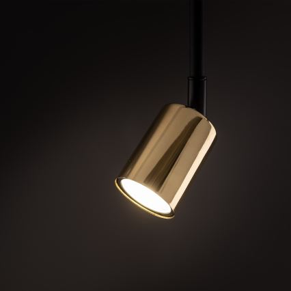 Luster na tyči do 1-fázového lištového systému TOP 1xGU10/10W/230V zlatá/čierna
