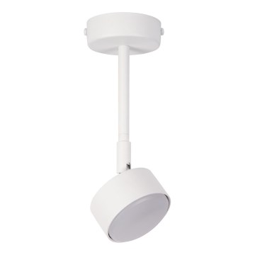 Luster na tyči NEMO 1xGX53/12W/230V 24 cm biela