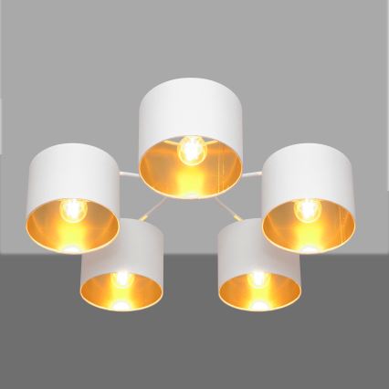 Luster prisadený ALBA 5xE27/15W/230V biela/zlatá