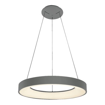 LUXERA 18404 -LED Stmievateľný luster na lanku GENTIS 1xLED/40W/230V