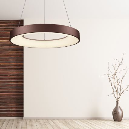 Kruhové stropné svietidlo s hnedým tienidlom a vnútorným bielym svetlom visí v miestnosti s drevenou a bielou stenou. V miestnosti sa nachádza váza so suchými konármi.