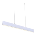 LUXERA 18414 - stlmiteľný LED luster na lankách OBLO LED/30W/230V
