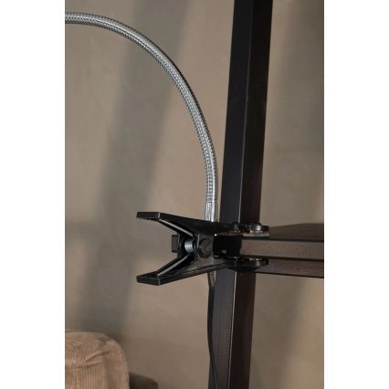 Markslöjd 106092 - LED Stolná lampa s klipom TULIP LED/3W/230V čierna