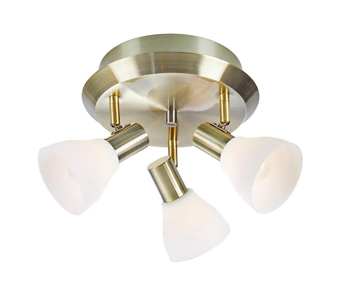 Markslöjd Markslöjd 107506 - Bodové svietidlo VERO 3xE14/40W/230V mosadz