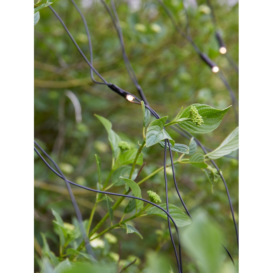 Markslöjd 108178 - LED vonkajší vianočný záves GARDEN24 160xLED/24V 2x2m teplá biela