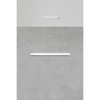 Markslöjd 108892 - LED stmievateľný luster na lanku PLANO LED/38W/230V biela
