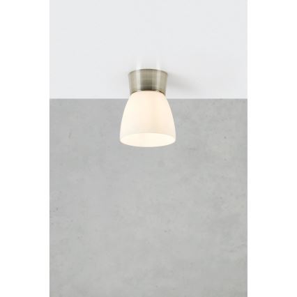 Markslöjd 109026 - Kúpeľňové stropné svietidlo NERJA 1xE27/40W/230V IP44 matný chróm