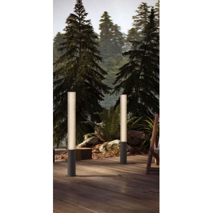 MAXLIGHT F0065 - LED vonkajšie svietidlo GARDENIA LED/25W/230V 105 cm CRI 93 IP65 antracit